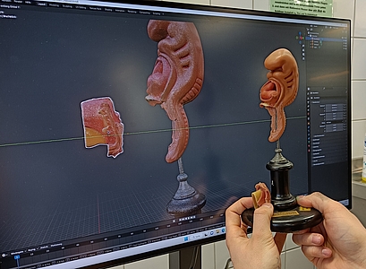 Studierende restaurieren ein Wachsmodell der embryonalen Entwicklung digital mit Hilfe von 3D-Techniken.