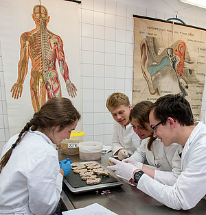 Gruppe von Studenten im Institut für Anatomie der Uniklinik Rostock.