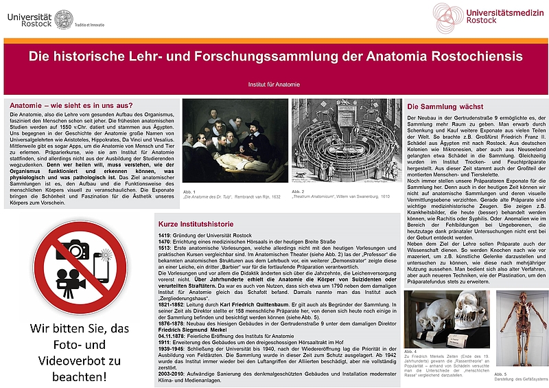 Poster mit Text und Bildern zur Anatomischen Sammlung der Anatomie Rostock.
