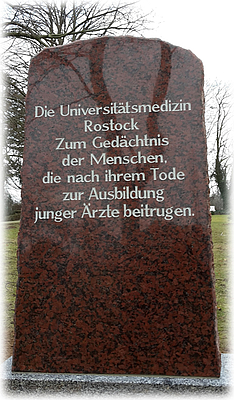 Grabstein Körperspenden an das Institut für Anatomie der Uniklinik Rostock. 